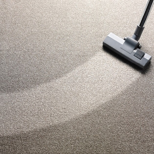 Area Rug Care | Carpet Plus