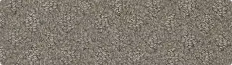 carpet-image