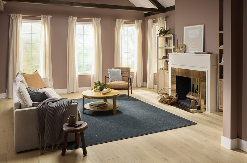Comfort in Your Large Living Room | Carpet Plus